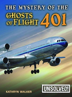 The Mystery of the Ghosts of Flight 401 - ebook
